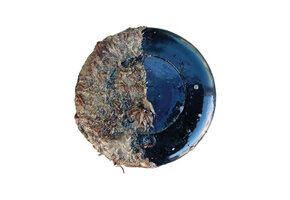 Propspeed Aangroeiwerende coating voor transducers