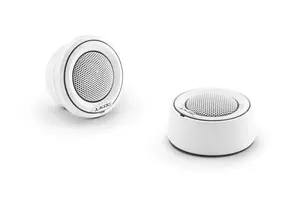 JL Audio M6 (1-inch) tweeters