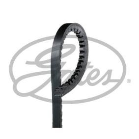 Gates GATES AVX13x1075HD V-riem