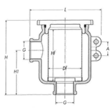 Allpa allpa Messing-vernikkeld koelwaterfilter met RVS 316 zeef, 1", H=105mm, 49500l/u
