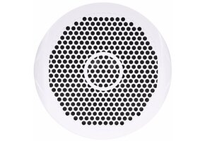 Fusion MS-SW10G grill 10" subwoofer