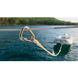 Wichard Karabijnhaak asymmetrisch RVS