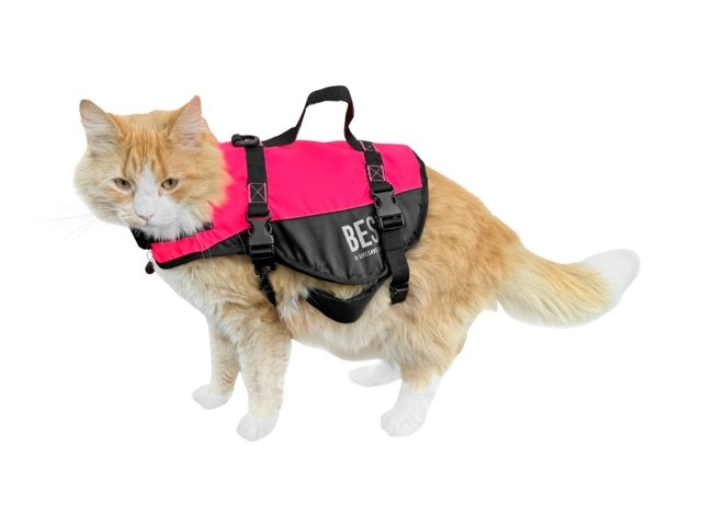 Besto Kattenzwemvest deluxe - diverse maten, foto 4 van 4