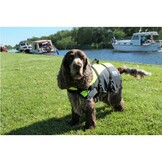 Besto Hondenzwemvest Deluxe - diverse maten