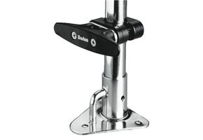 Barton Scepterkikker