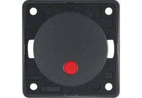 Berker Schak.2p/control. antraciet