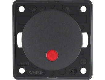 Berker Schak.2p/control. antraciet