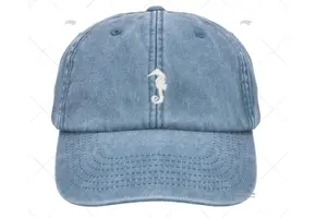 Light denim vintage cap/pet