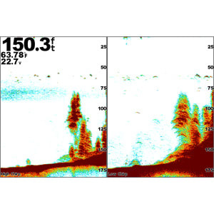 Garmin GSD™ 25 premium blackbox echolood, foto 4 van 4