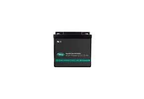 WhisperPower AGM Accu 12 V – 55 Ah