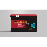  12V125 PRO LiFePO4 accu
