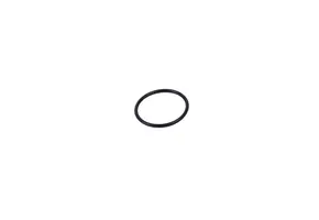 WhisperPower O-Ring Delta S 47,22 X 3,53