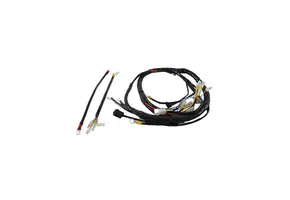 WhisperPower Wiring loom