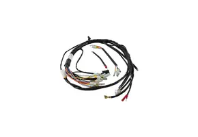 WhisperPower Wiring loom