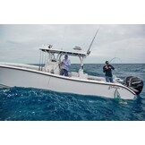 Scanstrut PowerTower aluminium 250 mm