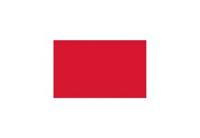 Talamex Protest vlag 20x30