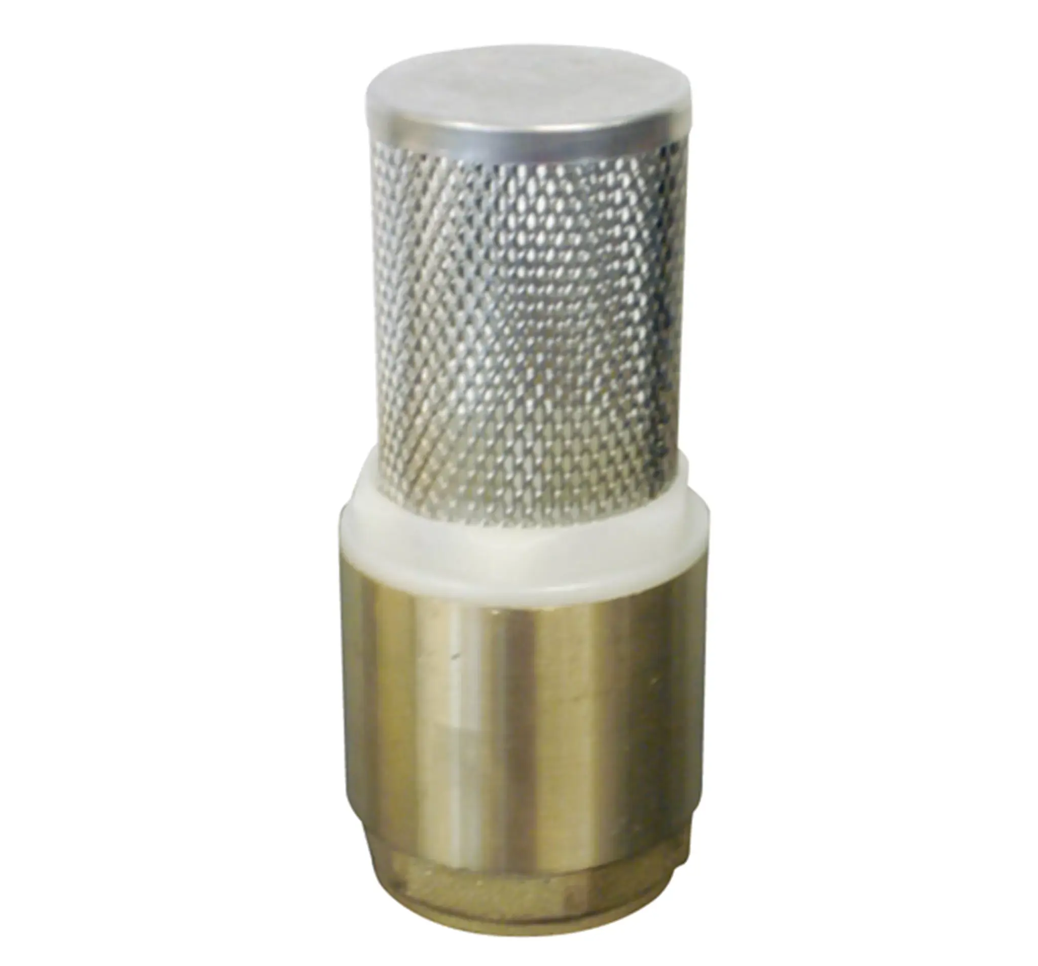  Messing veerbelaste terugslagklep met filter