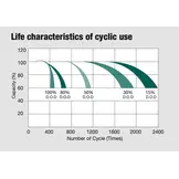 WhisperPower GEL Accu 12 V – 225 Ah