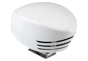 Marco Scheepshoorn Shark