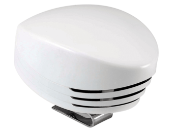 Marco Scheepshoorn Shark