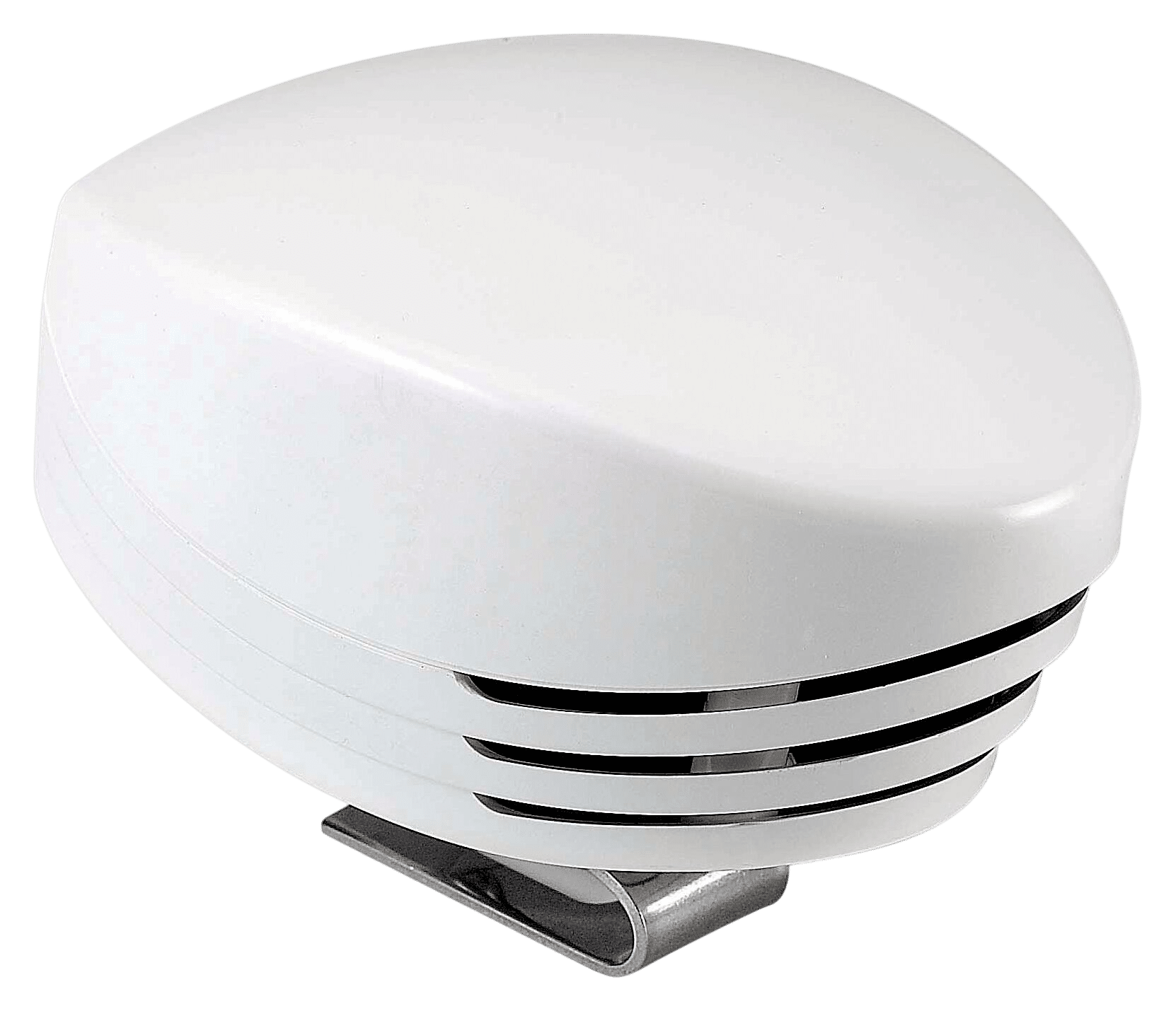 Marco Scheepshoorn Shark