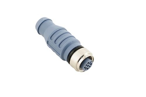 Glendinning eindplug