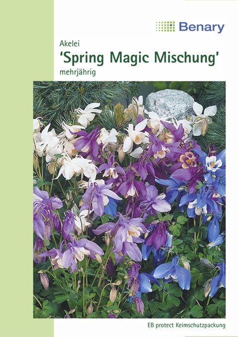 Benary Akelei Spring Magic® Mix, mehrjährig