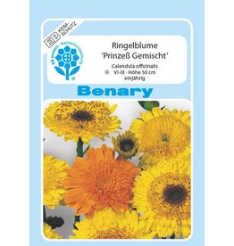 Benary Ringelblume Prinzeß Mix, einjährig