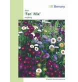 Benary Aster Fan® Mix, einjährig
