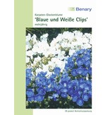 Benary Karpaten-Glockenblume Blaue und Weiße Clips®, mehrjährig