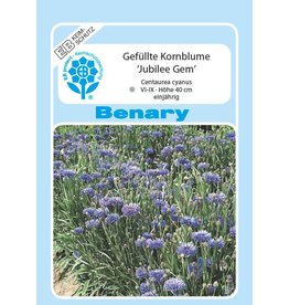 Benary Gefüllte Kornblume Jubilee Gem, einjährig