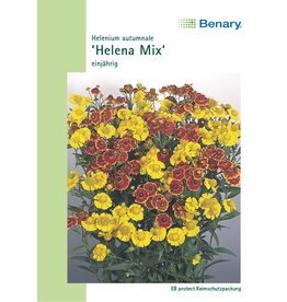 Benary Sonnenbraut Helena Mix, einjährig