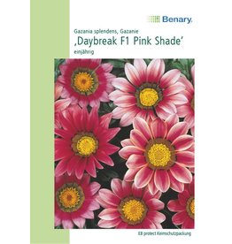 Benary Gazanie Daybreak F1 Pink Shade, einjährig