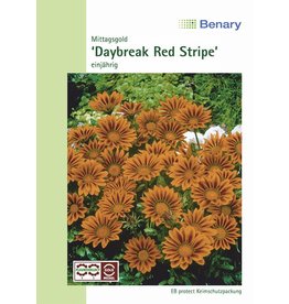 Benary Mittagsgold Daybreak F1 Red Stripe, einjährig