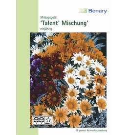 Benary Mittagsgold Talent® Mix, einjährig