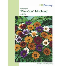 Benary Gazanie Mini-Star® Mischung, einjährig