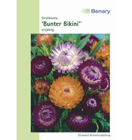 Benary Strohblume Bunter Bikini®, einjährig