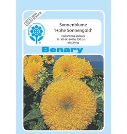 Benary Sonnenblume Hohe Sonnengold, einjährig