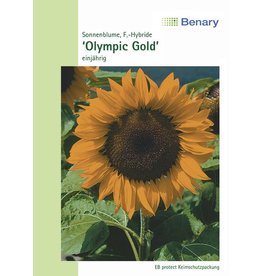 Benary Sonnenblume Olympic Gold F1, einjährig