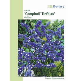 Benary Statice  Compindi® Tiefblau, einjährig