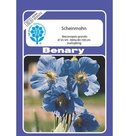 Benary Scheinmohn Mehrjährig