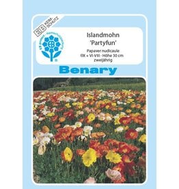 Benary Islandmohn Partyfun®, einjährig