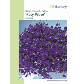 Benary Petunie WonderWave® F1 Rosy, einjährig