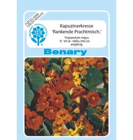 Benary Kapuzinerkresse Rankende Mix, einjährig