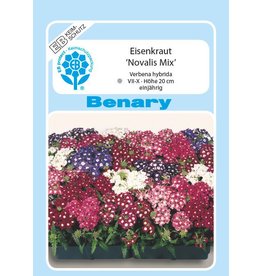 Benary Eisenkraut Novalis® Mix, einjährig