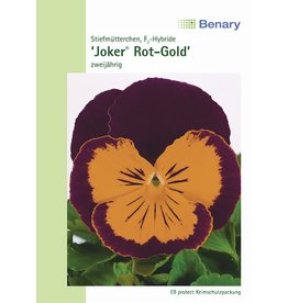 Benary Stiefmütterchen Joker® F2 Rot-Gold, zweijährig