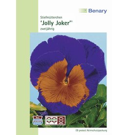 Benary Stiefmütterchen Jolly F2 Joker®, zweijährig