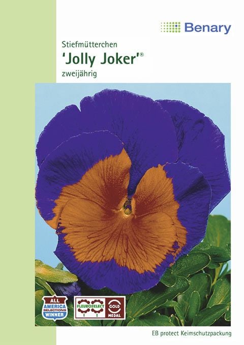 Benary Stiefmütterchen Jolly F2 Joker®, zweijährig