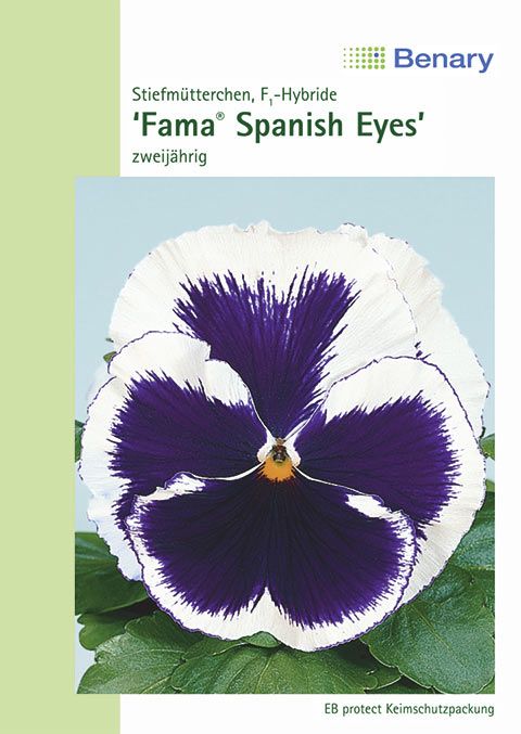 Benary Stiefmütterchen Fama® Spanish Eyes, zweijährig
