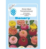 Benary Zinnie Lilliput Formelmischung, einjährig